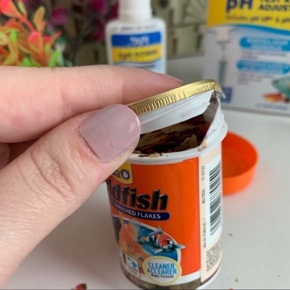 The “I can’t seem to keep a fish alive” Bundle - Picture 6 of 6